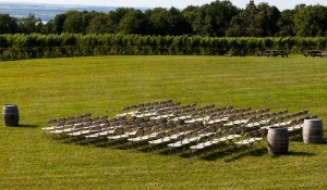 Lawn wedding setup - Photo Credit BJ Lord Photography