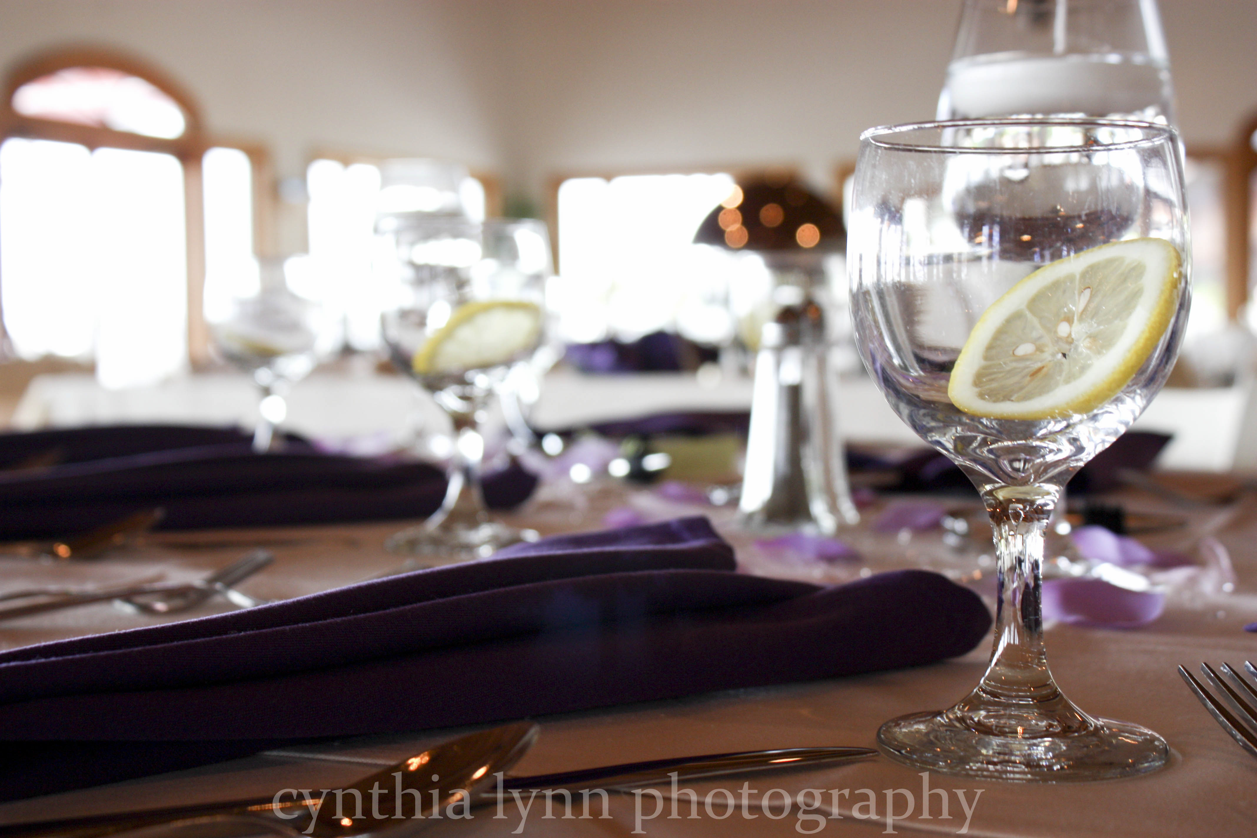 The Ginny Lee has excellent accommodations for wedding receptions or special events – Photo credit Cynthia Fullick